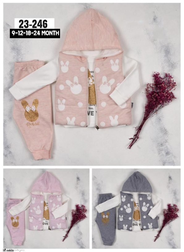 Wholesale Baby Girls 3 Piece Tracksuit Set 9-24 months
