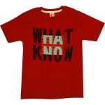 1009 Wholesale Boys Kids T-Shirt 8-12Y What Know Print blue