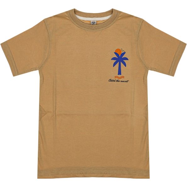 1021 Wholesale Boys Kids T-Shirt 8-12Y Catch the Sunset Print light brown