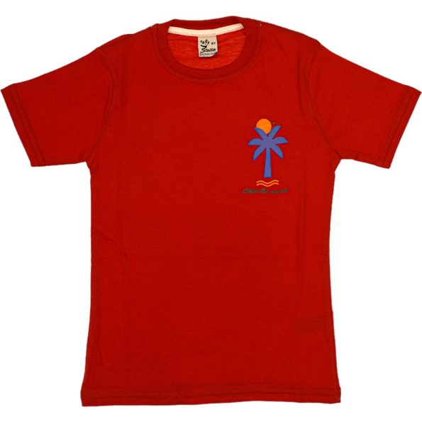 1021 Wholesale Boys Kids T-Shirt 8-12Y Catch the Sunset Print red