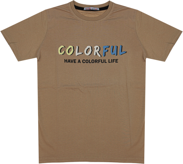 Wholesale T-Shirt for Boys Kids for 13-16Y Colorful Print Brown