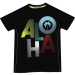 Wholesale T-Shirt for Boys Kids for 5-8Y Aloha Print Light bLUE