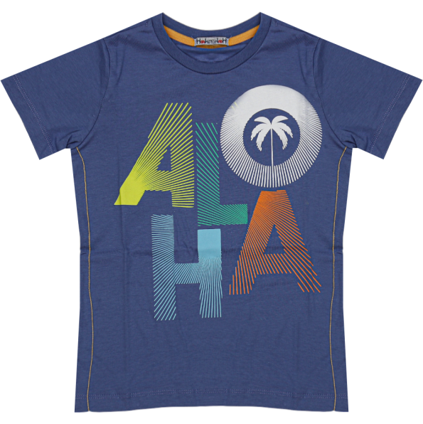 Wholesale T-Shirt for Boys Kids for 5-8Y Aloha Print Blue