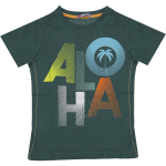 Wholesale T-Shirt for Boys Kids for 5-8Y Aloha Print Light bLUE