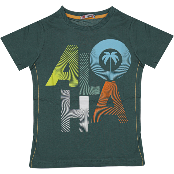 Wholesale T-Shirt for Boys Kids for 5-8Y Aloha Print Green