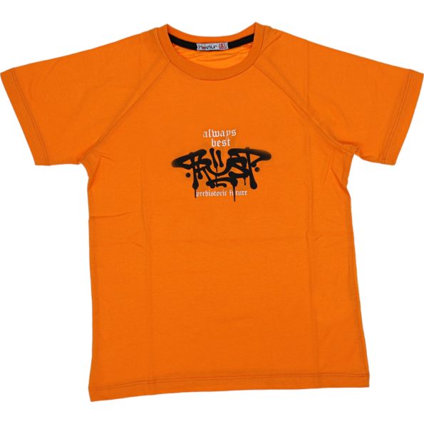 Wholesale T-Shirt for Boys Kids for 9-12Y Always Best Print Orange