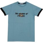 Wholesale T-Shirt for Boys Kids for 9-12Y The Meaning Of To Life Print Green