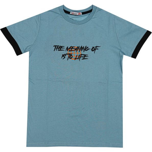 Wholesale T-Shirt for Boys Kids for 9-12Y The Meaning Of To Life Print Blue