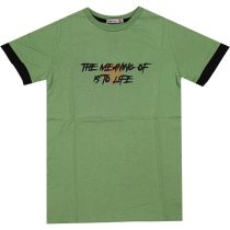 Wholesale T-Shirt for Boys Kids for 9-12Y The Meaning Of To Life Print Green