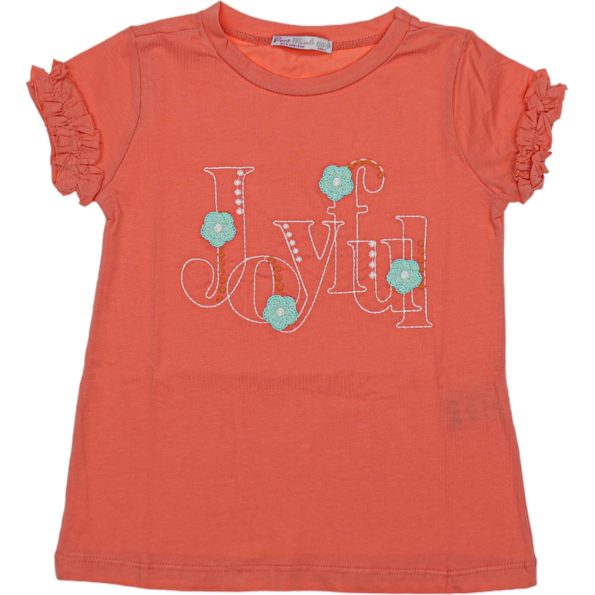 Wholesale T-Shirt for Toddler Girls for 5-8Y Joyful Embroidery Orange