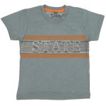 180020 Wholesale Boys Kids T-Shirt 3-12Y State Print blue