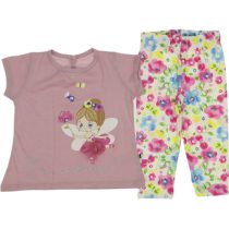 3070 Wholesale 2-Piece Toddler Girls Leggings and T-shirt Set 9-24M dried rose