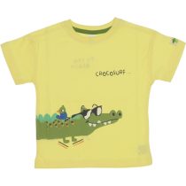 G24-1757 Wholesale Boys Kids T-Shirt 2-5Y Crocosurf Print yellow