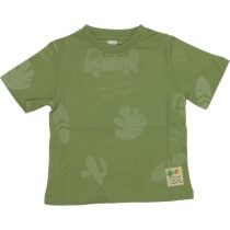G24-1776 Wholesale Boys Kids T-Shirt 2-5Y green
