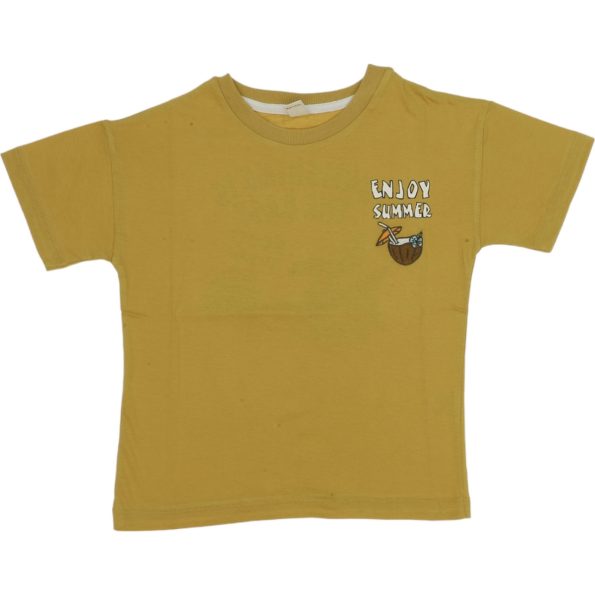 G24-1804 Wholesale Boys Kids T-Shirt 6-9Y Enjoy Summer Print mustard