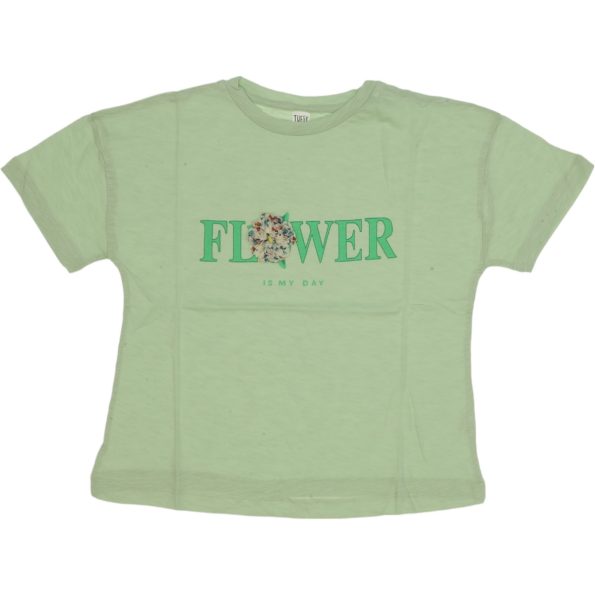 LR23-9154 Wholesale Girls Kids T-Shirt 10-13Y Flower Print green