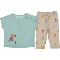 TFA24-1259 Wholesale 2-Piece Girls Leggings and T-shirt Set 2-5Y Parrot Print green