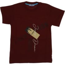 Wholesale Boys Kids T-Shirt 9-12Y burgundy