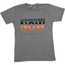 202424 Wholesale Boys Kids T-Shirt 9-12Y Adventures Now Print grey