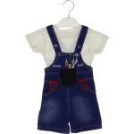 2613 Wholesale Toddler Babies 2-Piece Denim Salopet and T-Shirt Set 6-18M 1