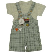 2618 Wholesale Toddler Babies 2-Piece Plaid Salopet and T-Shirt Set 6-18M green