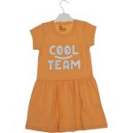 6762 Wholesale Girls Kids Dress 3-6Y Cool Team Print dried rose