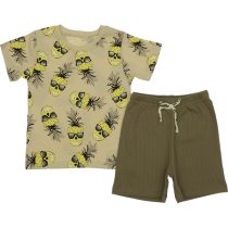 824 Wholesale 2-Piece Boys Kids Short and T-shirt Set 2-5Y khaki