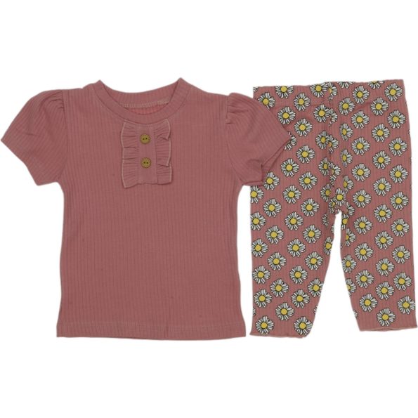 833 Wholesale 2-Piece Toddler Girls Leggings and T-shirt Set 9-24M dried rose