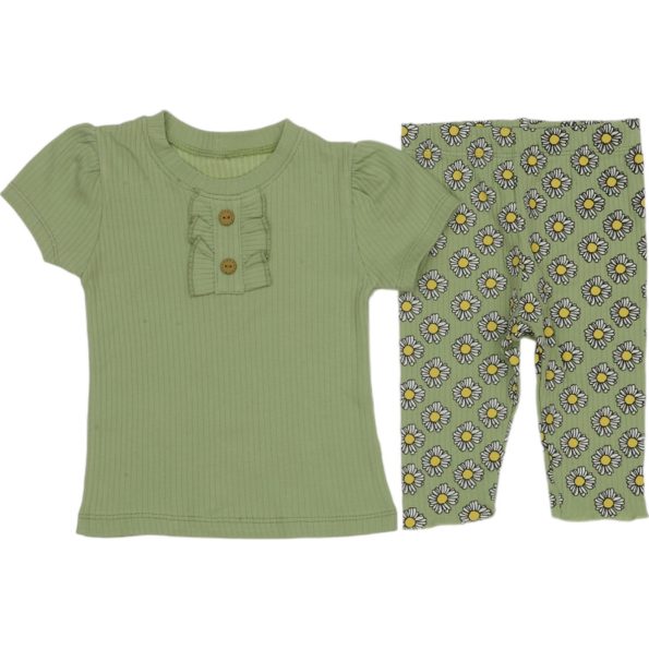 833 Wholesale 2-Piece Toddler Girls Leggings and T-shirt Set 9-24M green