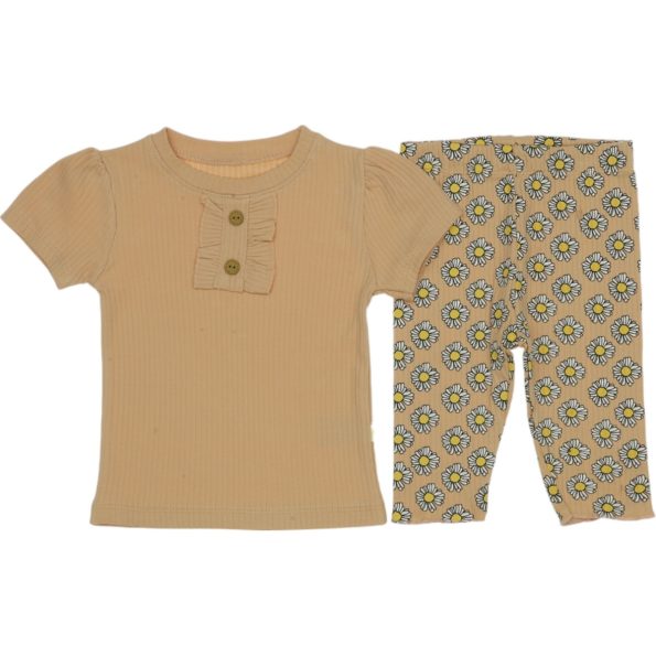 833 Wholesale 2-Piece Toddler Girls Leggings and T-shirt Set 9-24M light brown