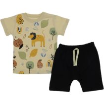 848 Wholesale 2-Piece Toddler Boys Short and T-shirt Set 9-24M black